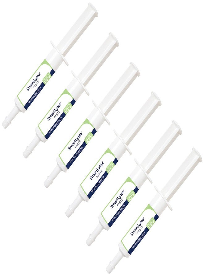 SmartEquine SmartLytes Paste Horse Electrolyte Paste | Encourages Hydration | Replenishes Electrolytes | No Added Sugar | Apple Banana Flavor | Pack of 6 Tubes - Image 1